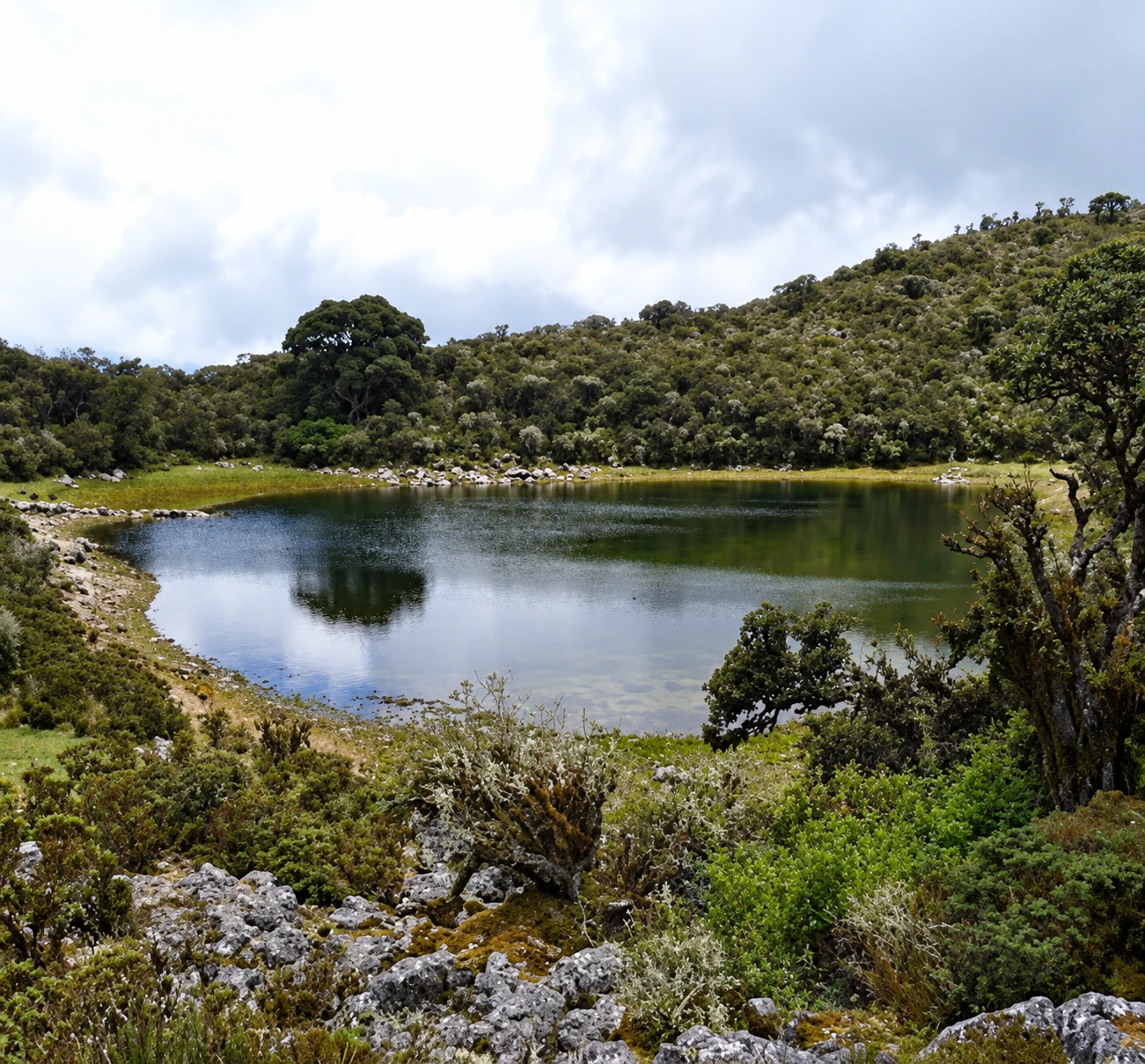 Laguna La Verdosa en el páramo del Táchira, Venezuela